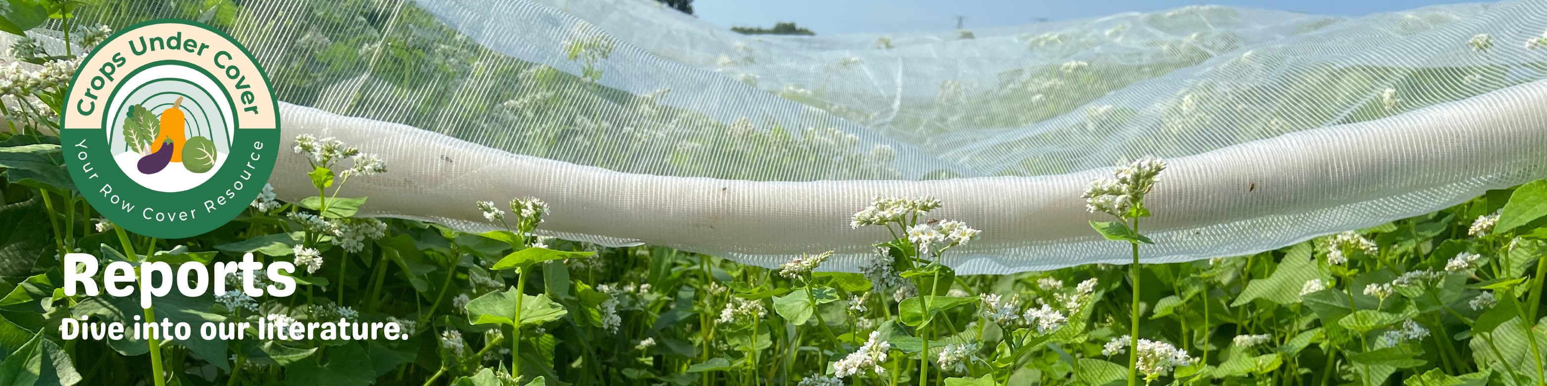 Formal Reports banner with buckwheat plants growing under a row cover
