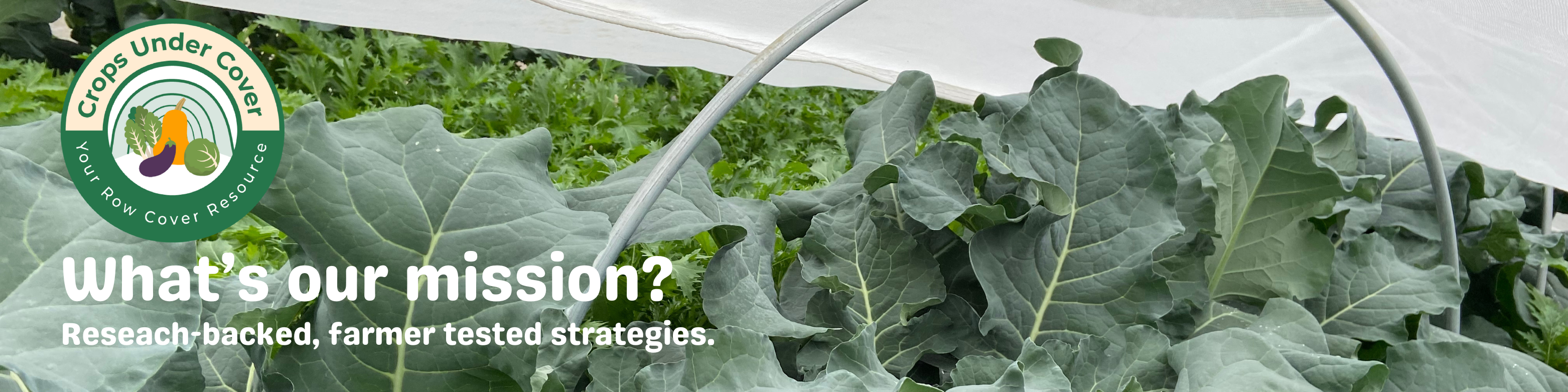 Project Overview Banner with brassica crops growing under a row cover 