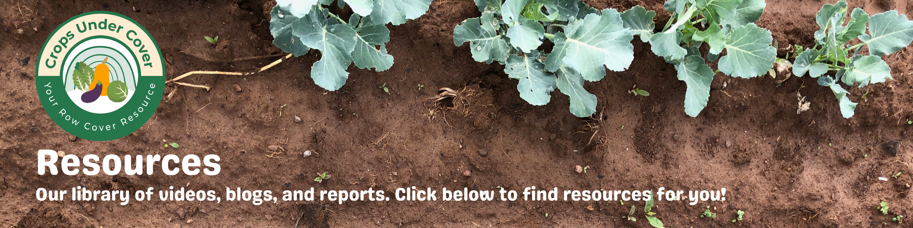 Resources Banner with broccoli seedlings planted in soil 