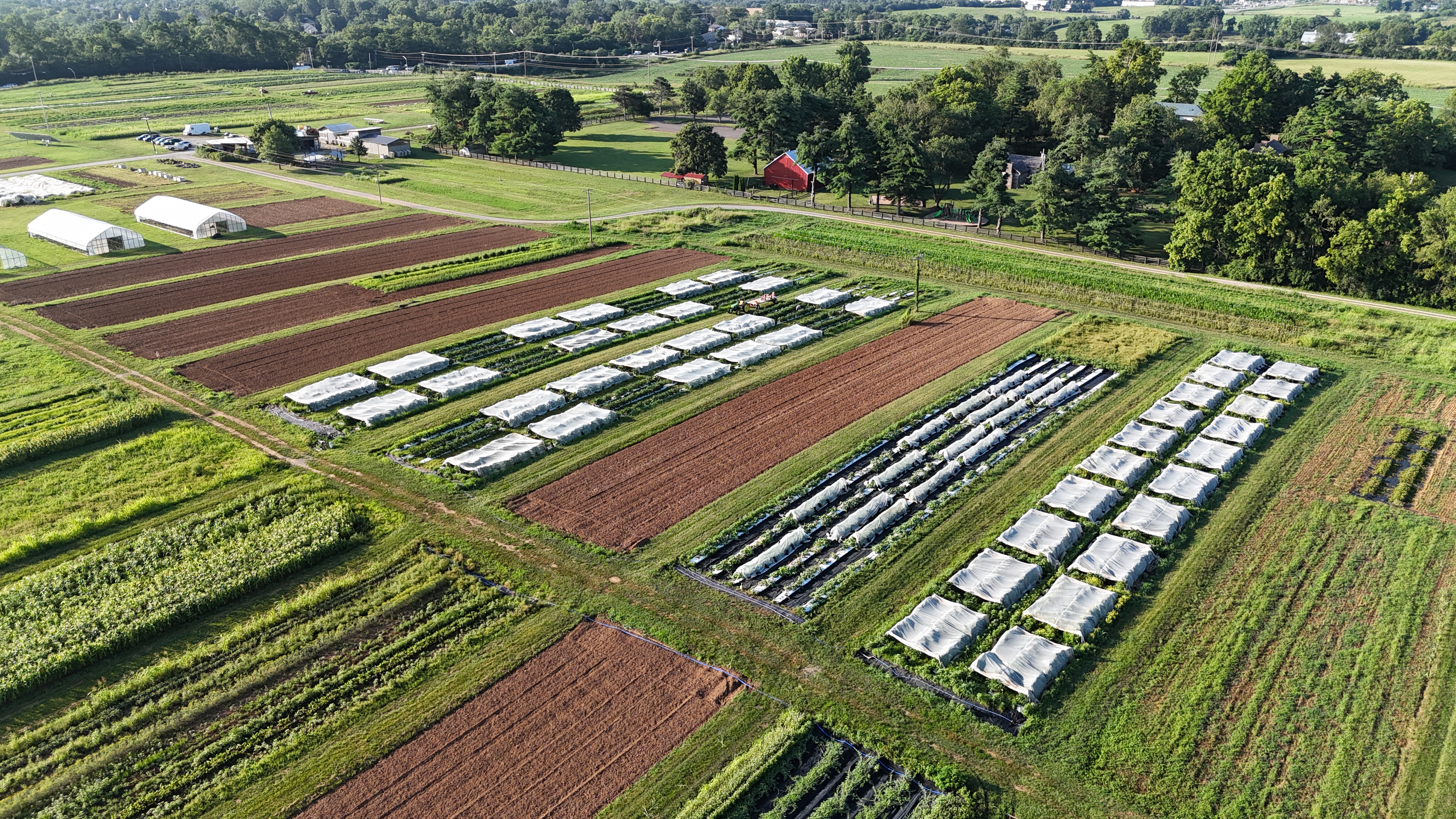 Gonthier mesotunnel setup at UK's Horticulture Research Farm