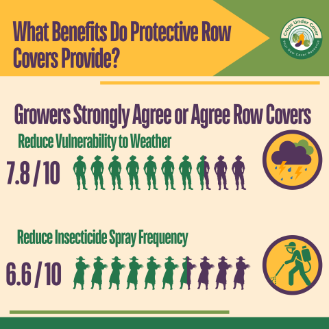 infographic indicating that growers agree that row covers protect from weather and reduce insecticide use