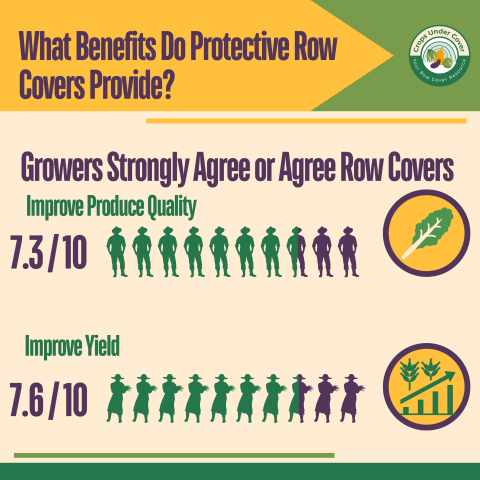 infographic indicating that growers agree that row covers improve produce quality and yield 