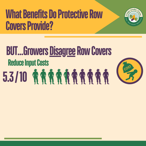 infographic indicating that growers disagree that row covers reduce input costs