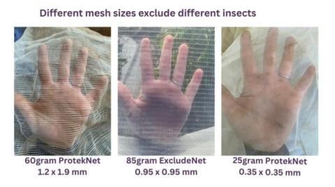 graphic showing different sizes of mesh netting and their measurements
