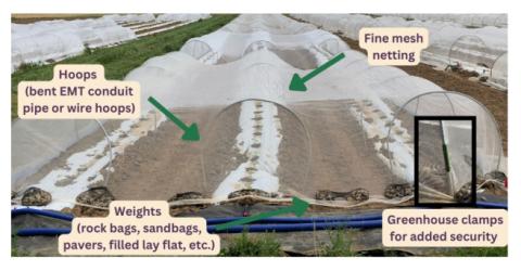 graphic showing the various parts and setups of mesotunnels in the field 